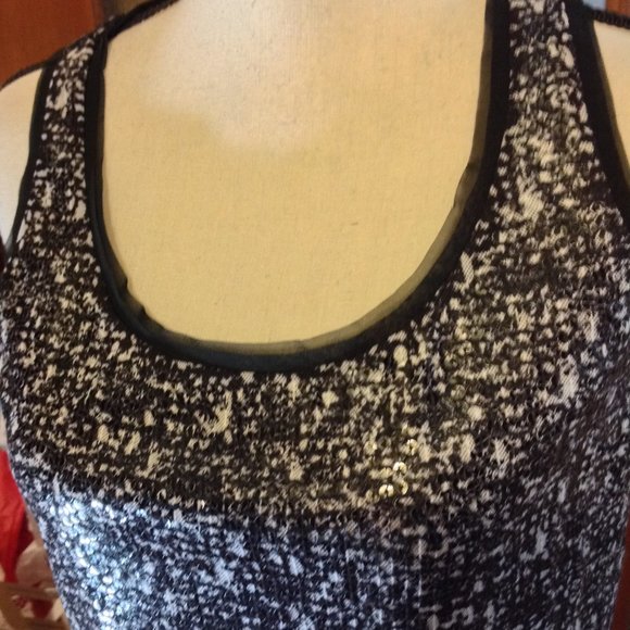 NWT Ann Taylor Sequin shimmery Dressy Tank - Picture 5 of 7